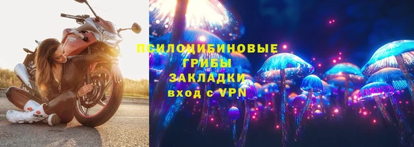 ГАЛЛЮЦИНОГЕННЫЕ ГРИБЫ Костерёво
